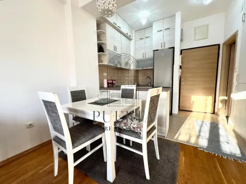 Izdavanje, jednosoban stan, 40m², Ljubović, Podgorica - image 4