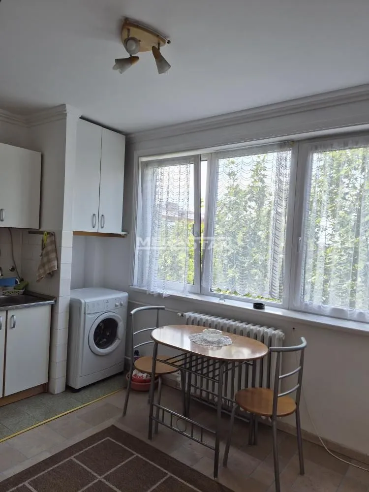 Izdavanje, jednosoban stan, 36m², Lion, Zvezdara Sve Podlokacije
