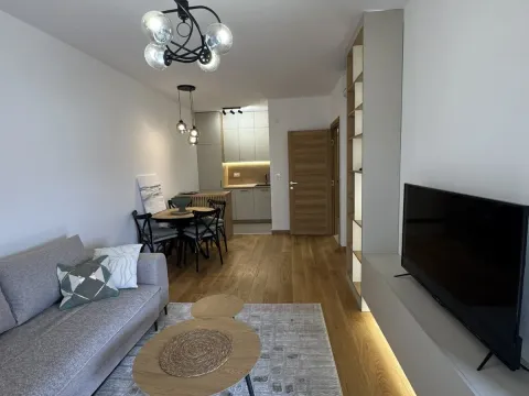 Izdavanje, jednosoban stan, 46m², New City, Podgorica - image 6