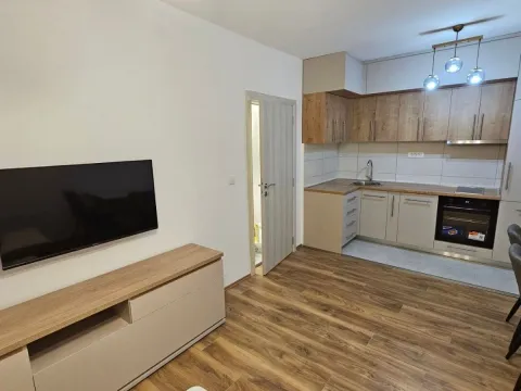 Izdavanje, jednosoban stan, 40m², Pejton, Podgorica - image 4