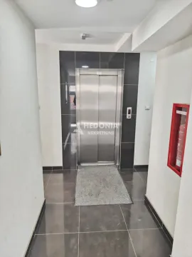 Izdavanje, dvosoban stan, 40m², Zvezdara Sve Podlokacije, Beograd - image 7