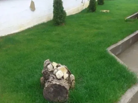 Sale, house, 120m², Niševac, Svrljig - image 3