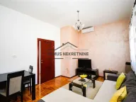 Izdavanje, jednosoban stan, 54m², Stari Aerodrom, Podgorica - image 4