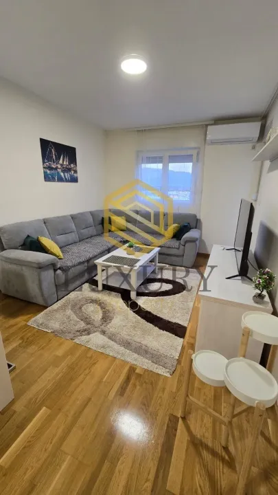 Rent, one bedroom apartment, 44m², Zagorič, Podgorica