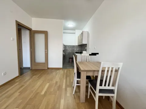 Izdavanje, dvosoban stan, 45m², Zabjelo, Podgorica - image 2