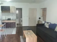 Izdavanje, garsonjera, 25m², Voždovac Sve Podlokacije, Beograd - image 4