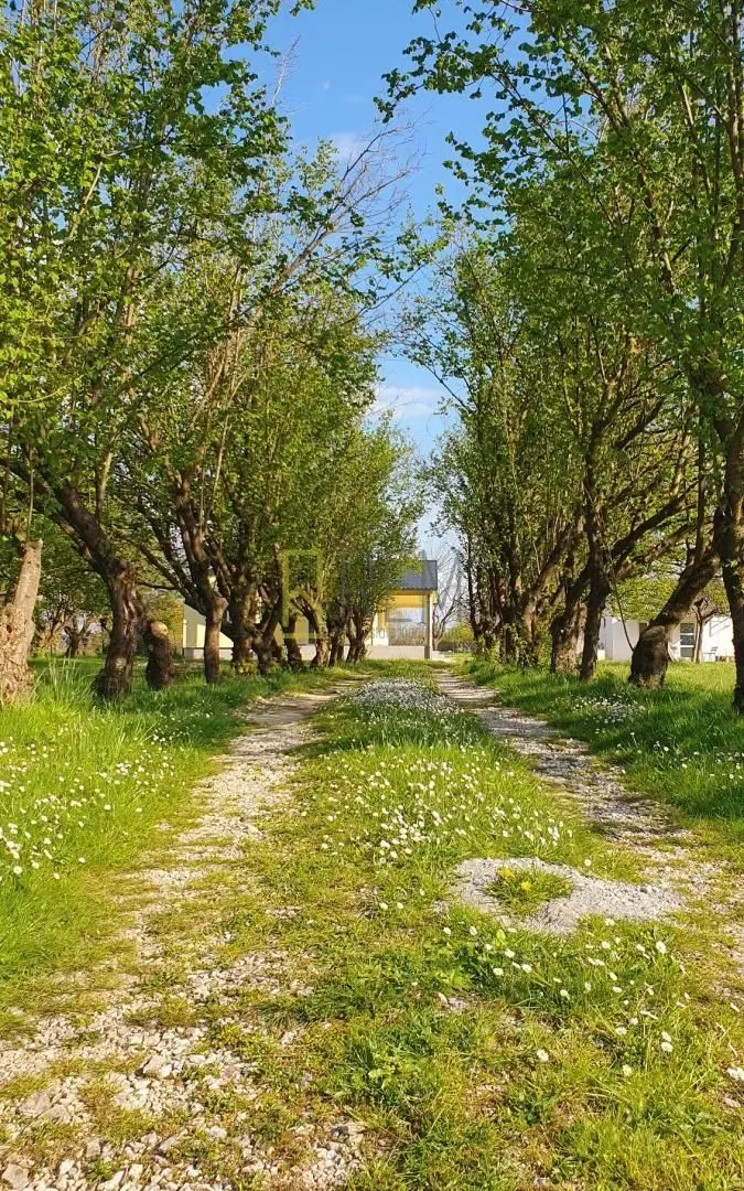 Prodaja, kuća, 132m², Ćurilac, Danilovgrad