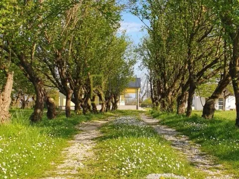 Sale, house, 132m², Ćurilac, Danilovgrad - image 6