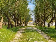 Sale, house, 132m², Ćurilac, Danilovgrad - image 6