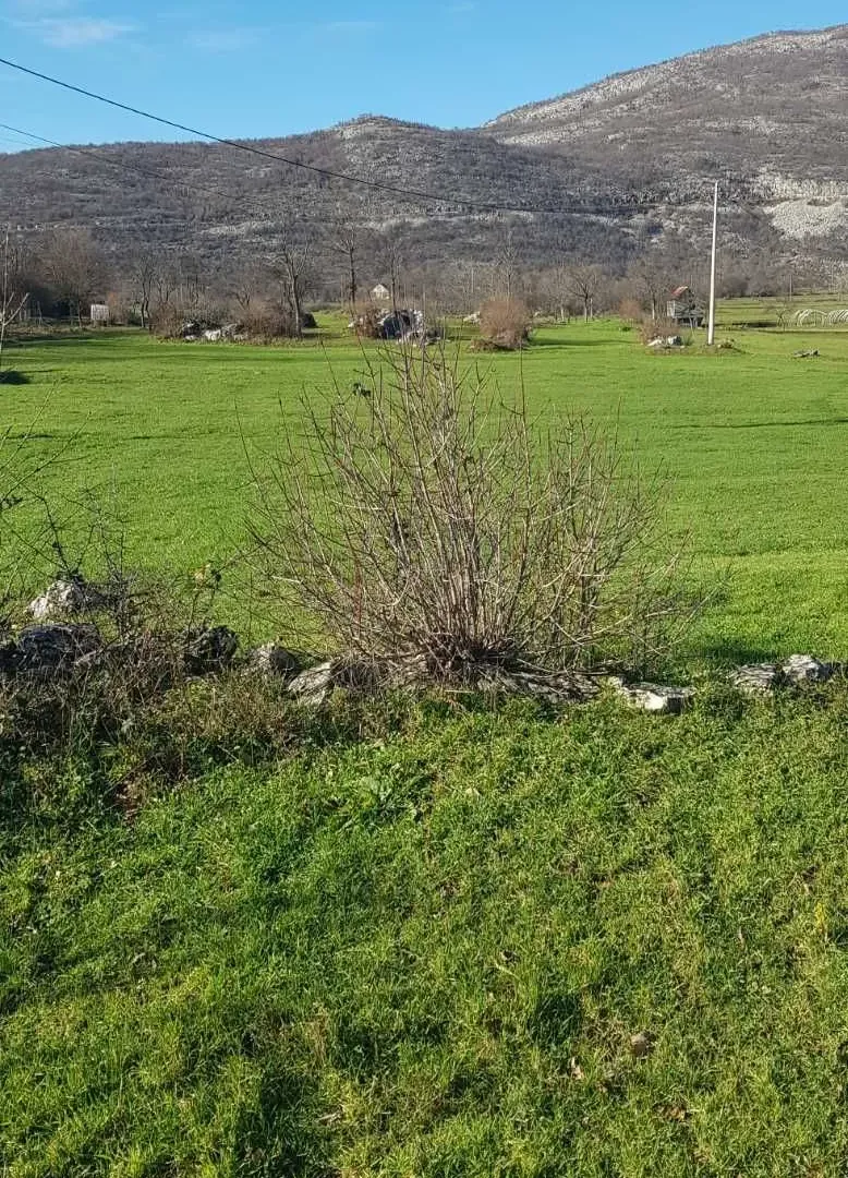 Prodaja, plac, 19000m², Nikšić, Crna Gora