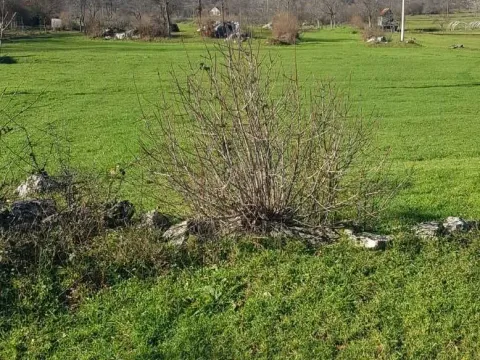 Sale, land lot, 19000m², Nikšić, Crna Gora - image 4