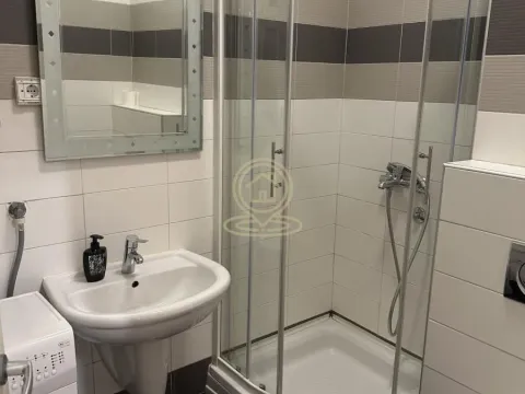 Izdavanje, dvosoban stan, 45m², Vračar Sve Podlokacije, Beograd - image 6