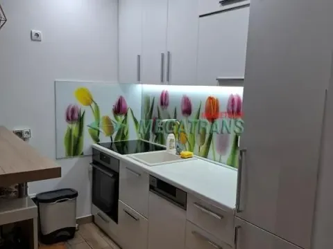 Izdavanje, dvosoban stan, 60m², Telep, Novi Sad Sve Podlokacije - image 4