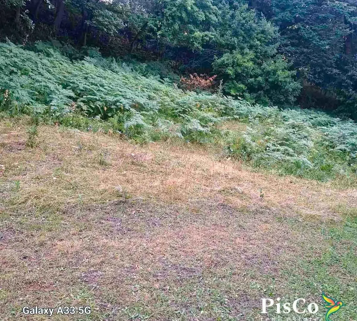 Prodaja, plac, 15000m², Pljevlja, Crna Gora