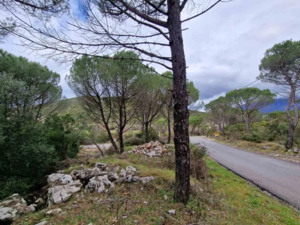Prodaja,  zemljište, 1150m2, Zagora, Kotor