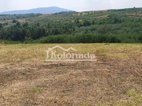 Prodaja, plac, 15800m², Mali Požarevac, Sopot - image 5