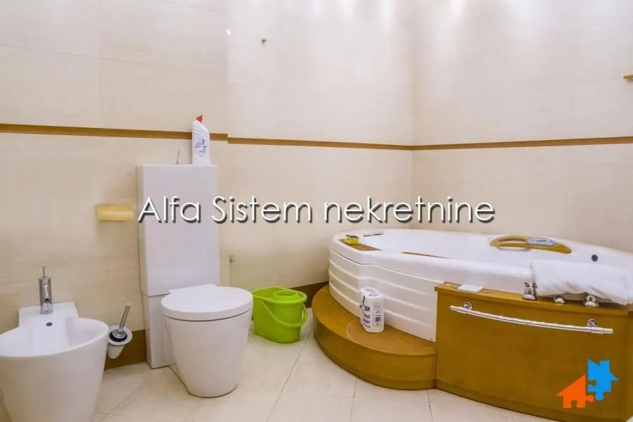 Izdavanje, četvorosoban stan, 222m², Tašmajdan, Palilula Sve Podlokacije