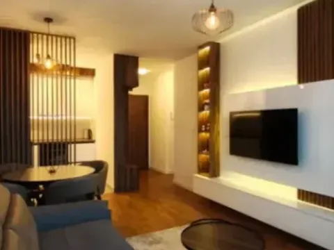 Izdavanje, jednosoban stan, 47m², Stari Aerodrom, Podgorica - image 3