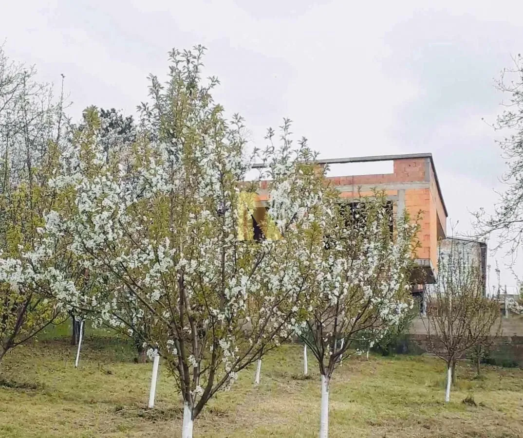 Prodaja, plac, 1547m², Sremska Kamenica, Petrovaradin