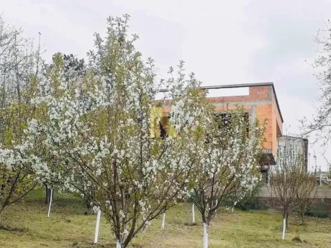 Prodaja, plac, 1500m², Sremska Kamenica, Petrovaradin - image 4