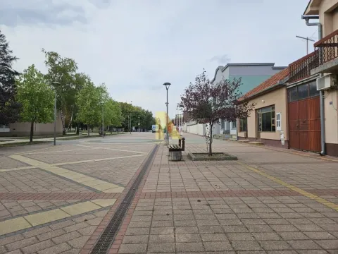 Prodaja, kuća, 303m², Pecinci, Srbija - image 4