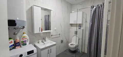 Modern bathroom with a walk-in shower, washbasin, and toilet. - image 11