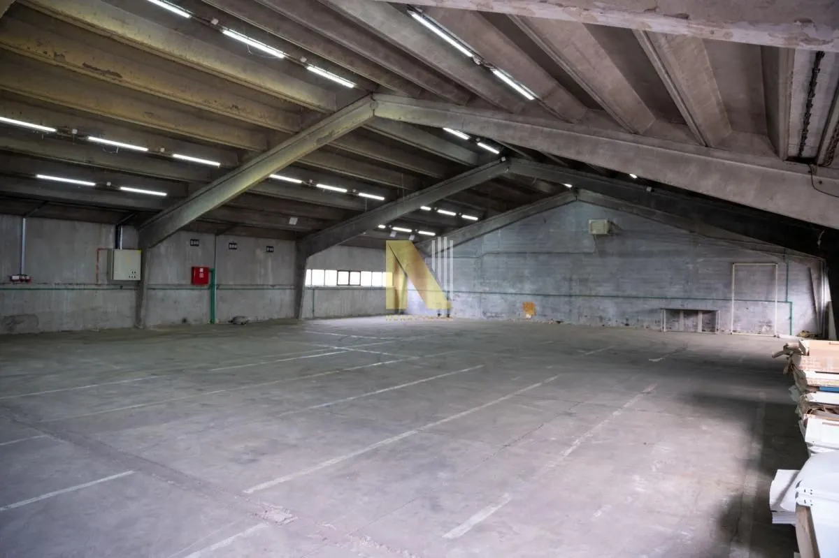 Rent, office space, 759m², Salajka, Novi Sad Sve Podlokacije