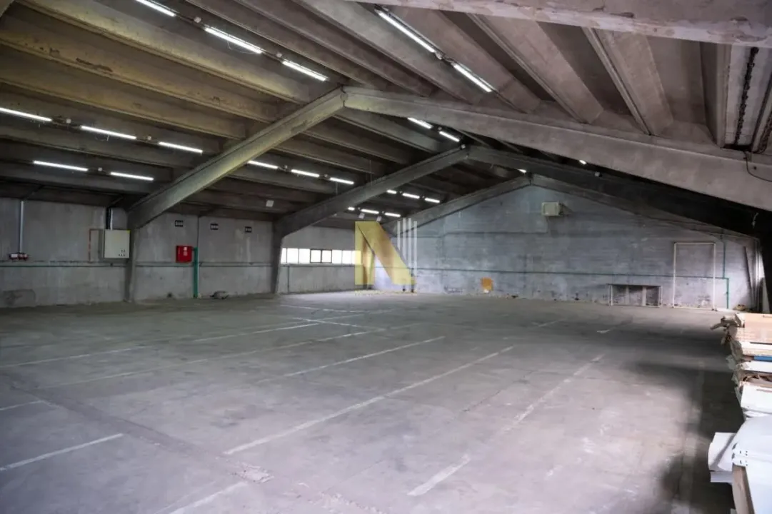 Izdavanje, poslovni prostor, 759m², Salajka, Novi Sad Sve Podlokacije