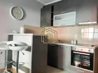 Izdavanje, stan, 30m², Ljubović, Podgorica - image 5