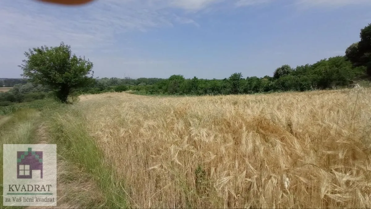 Prodaja, plac, 1900m², Mislodjin, Obrenovac