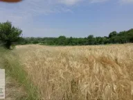 Prodaja, plac, 19m², Mislodjin, Obrenovac - image 3