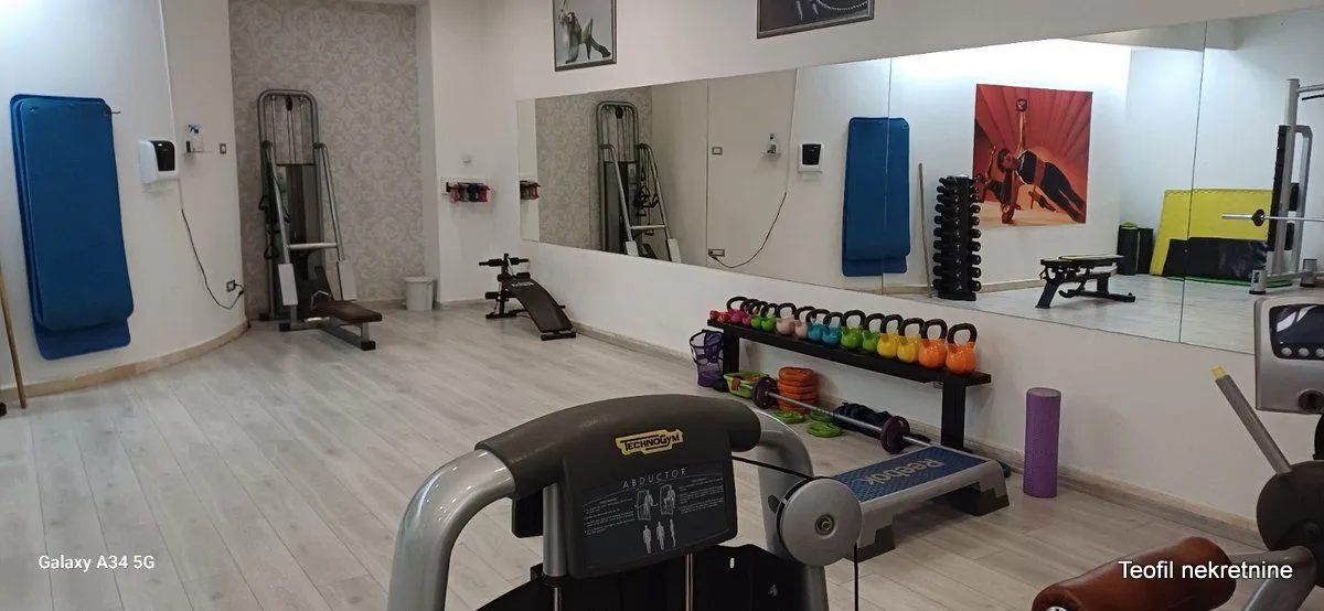 Prodaja, poslovni prostor, 1000m², Vračar, Šid