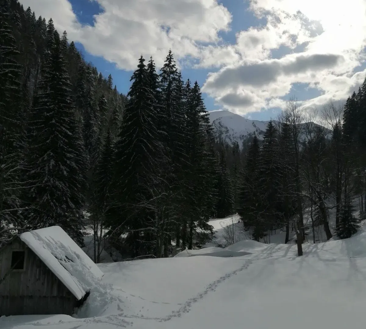 Prodaja, plac, 3476m², Kolašin, Crna Gora