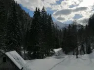 Prodaja, plac, 3476m², Kolašin, Crna Gora - image 3