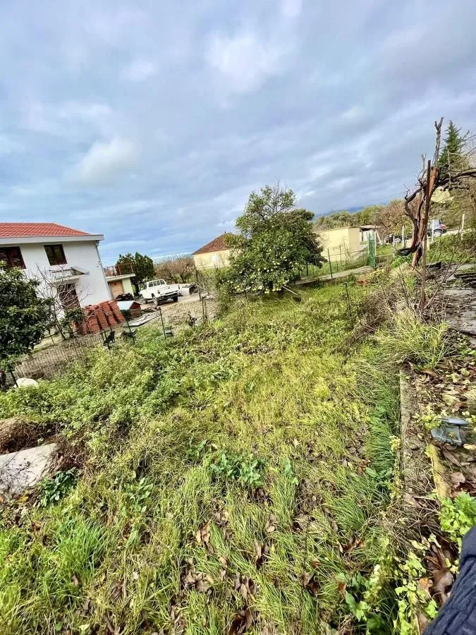 Pogled na dvorište i okolne kuće sa zelenilom.