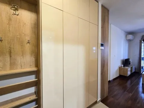 Izdavanje, garsonjera, 25m², Master Kvart, Podgorica - image 5