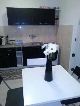 Jednostavna kuhinja sa crnim elementima i trpezarijskim stolom sa vazom. - image 7