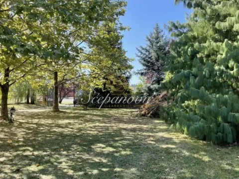 Prodaja, kuća, 202m², Sremska Kamenica, Petrovaradin - image 35