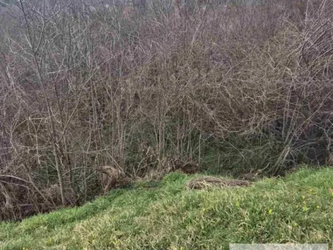 Sale, land lot, 3699m², Banoštor, Beočin - image 2