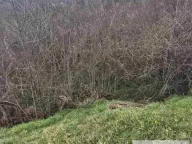 Prodaja, plac, 36m², Banoštor, Beočin - image 2