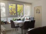 Izdavanje, dvosoban stan, 45m², Liman 2, Novi Sad Sve Podlokacije - image 2