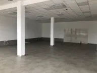 Izdavanje, poslovni prostor, 260m², Galenika, Beograd - image 1