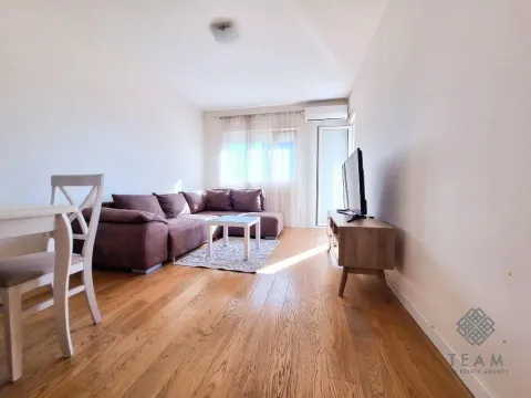 Izdavanje, jednosoban stan, 47m², Central Point, Podgorica - image 4