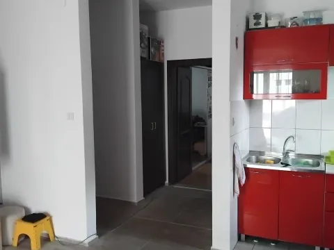 Prodaja, jednosoban stan, 48m², Zabjelo, Podgorica - image 4