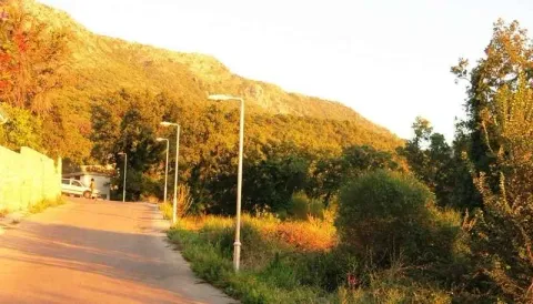 Asfaltirani prilazni put pored placa sa uličnom rasvjetom okružen zelenilom. - image 9