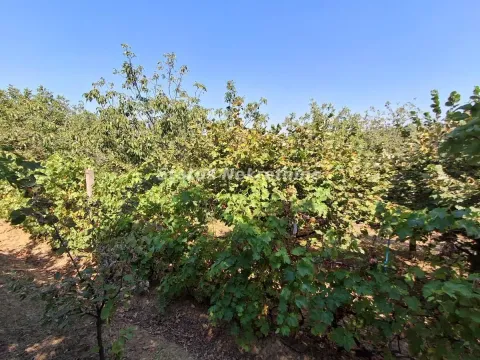 Prodaja, kuća, 30m², Ledinci, Petrovaradin - image 43