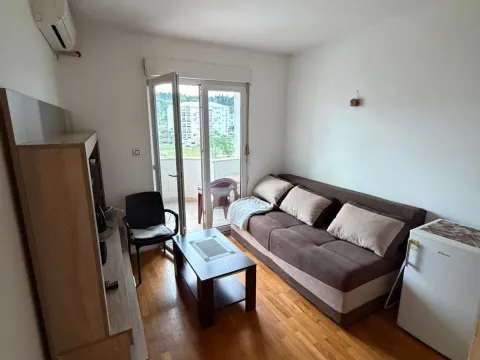 Rent, one bedroom apartment, 25m², Zabjelo, Podgorica - image 2