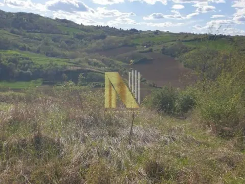 Prodaja, plac, 2500m², Novi Sad, Srbija - image 7