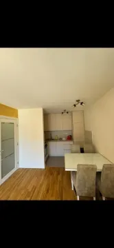 Rent, one bedroom apartment, 42m², Zabjelo, Podgorica - image 9