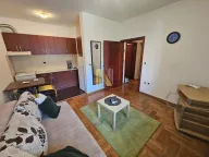 Izdavanje, garsonjera, 26m², Bulevar Oslobodjenja, Novi Sad Sve Podlokacije - image 1